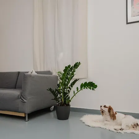 Apartment Napbogar Vendeghaz